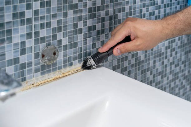 Best Black Mold Remediation in Laurel, FL